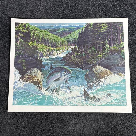 Weyerhaeuser Vintage Advertisement Prints S/4 - Stan Galli - Pacific Northwest - Picture 7 of 10
